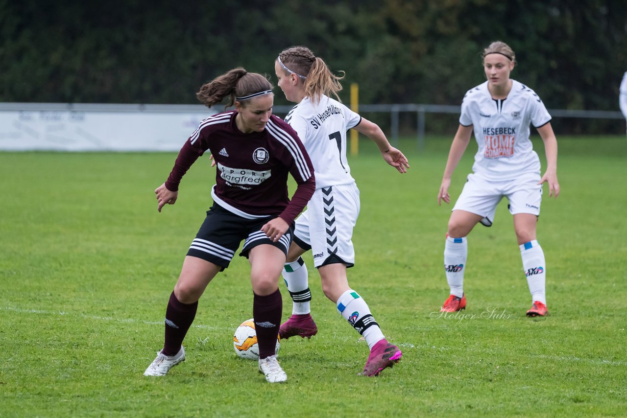 Bild 207 - Frauen SV Henstedt Ulzburg II - TSV Klausdorf : Ergebnis: 2:1